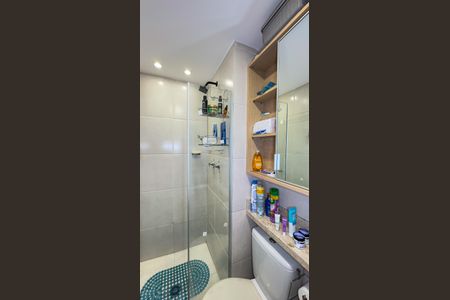 Banheiro de apartamento para alugar com 2 quartos, 40m² em Vila Cruzeiro, São Paulo