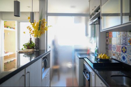 Cozinha de apartamento à venda com 2 quartos, 57m² em Vila das Merces, São Paulo