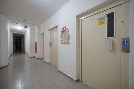 Elevadores de apartamento para alugar com 3 quartos, 80m² em Campinas, São José