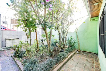 Quintal de casa para alugar com 1 quarto, 60m² em Vila Brasilina, São Paulo