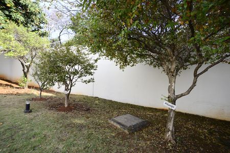 Apartamento para alugar com 81m², 3 quartos e 3 vagasPlayground/ Bosque
