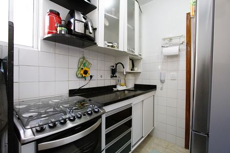 Cozinha de apartamento à venda com 2 quartos, 50m² em Madre Gertrudes, Belo Horizonte