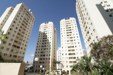 Fachada de apartamento para alugar com 2 quartos, 60m² em Imirim, São Paulo