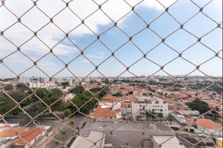 Vista do Quarto de apartamento para alugar com 2 quartos, 55m² em São Bernardo, Campinas