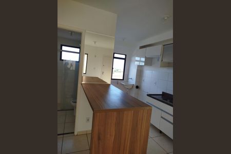 Cozinha de apartamento para alugar com 2 quartos, 43m² em Subsetor Oeste - 12 (O-12), Ribeirão Preto
