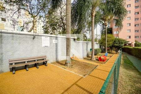 Área comum - Espaço Pet de apartamento para alugar com 3 quartos, 80m² em Jardim Textil, São Paulo
