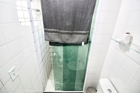 Banheiro  de apartamento para alugar com 2 quartos, 49m² em Jardim Sao Miguel, Ferraz de Vasconcelos