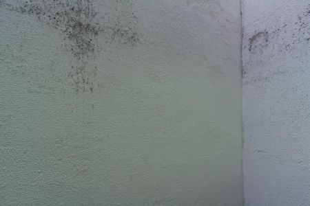 Apartamento para alugar com 70m², 2 quartos e 1 vaga Apartamento para alugar com 70m², 2 quartos e 1 vagaVista da Área de Serviço