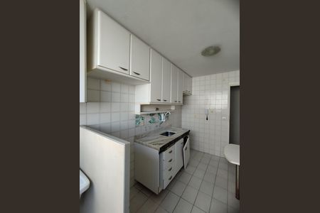Cozinha - Armários de apartamento para alugar com 2 quartos, 64m² em Parque Bristol, São Paulo