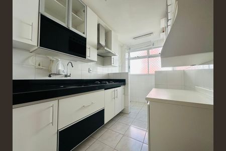 Cozinha de apartamento para alugar com 2 quartos, 80m² em Santa Branca, Belo Horizonte