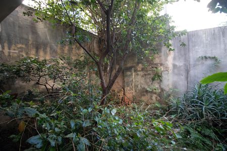 QUINTAL de casa para alugar com 4 quartos, 260m² em Santana, São Paulo