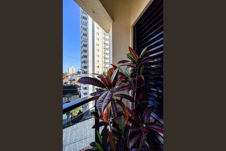 Apartamento para alugar com 83m², 3 quartos e 2 vagas Apartamento para alugar com 83m², 3 quartos e 2 vagasVaranda da Suíte