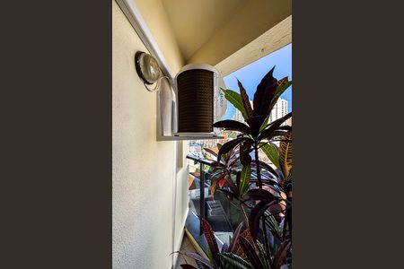 Apartamento para alugar com 83m², 3 quartos e 2 vagas Apartamento para alugar com 83m², 3 quartos e 2 vagasVaranda da Suíte