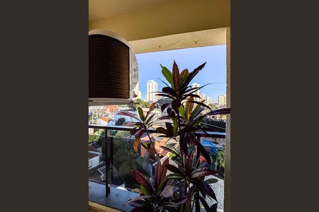 Varanda da Suíte de apartamento para alugar com 3 quartos, 83m² em Vila Bertioga, São Paulo