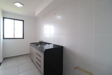 Cozinha de apartamento para alugar com 2 quartos, 59m² em Shopping Park, Uberlândia