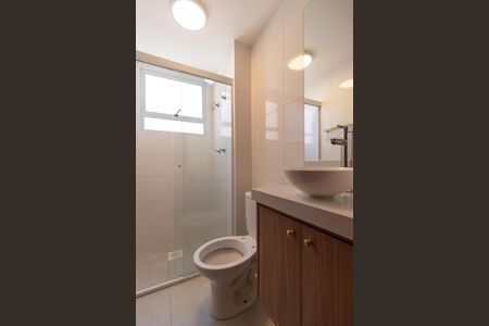 Banheiro de apartamento para alugar com 2 quartos, 50m² em Parque da Figueira, Campinas
