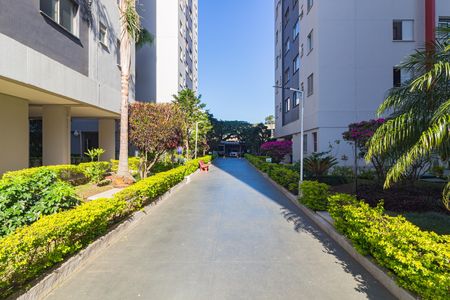 Área comum de apartamento para alugar com 2 quartos, 64m² em Brás, São Paulo