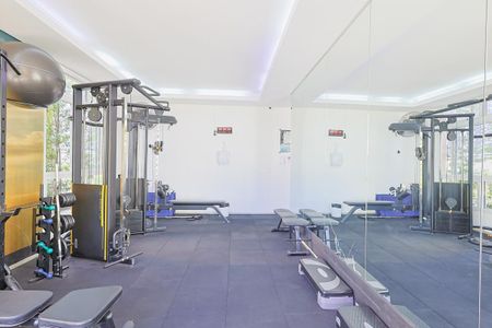 Apartamento à venda com 53m², 2 quartos e 2 vagas Apartamento à venda com 53m², 2 quartos e 2 vagasÁrea Comum - Academia