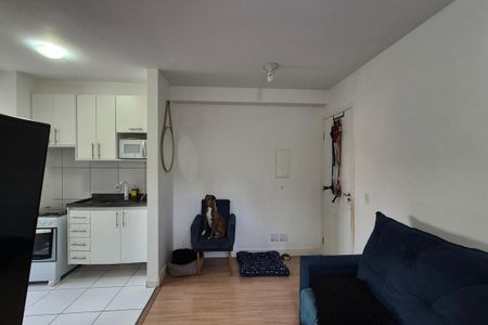 Sala  de apartamento à venda com 2 quartos, 48m² em Jardim Samambaia, Campinas