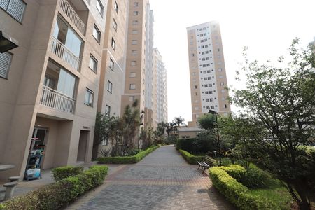 Área comum de apartamento à venda com 2 quartos, 55m² em Vila Moreira, São Paulo