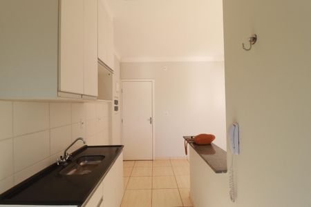 Cozinha de apartamento para alugar com 2 quartos, 50m² em Bonfim Paulista, Ribeirão Preto