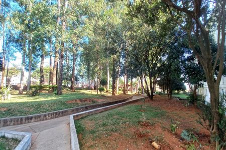 Área comum de apartamento para alugar com 2 quartos, 50m² em Vila Padre Manoel de Nobrega, Campinas