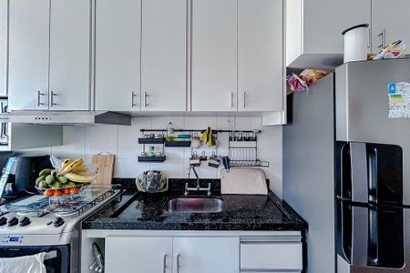 Cozinha - Armários de apartamento para alugar com 2 quartos, 46m² em Vila Esperança, São Paulo