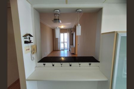 Apartamento para alugar com 49m², 2 quartos e 1 vaga Apartamento para alugar com 49m², 2 quartos e 1 vagaCozinha - Armários