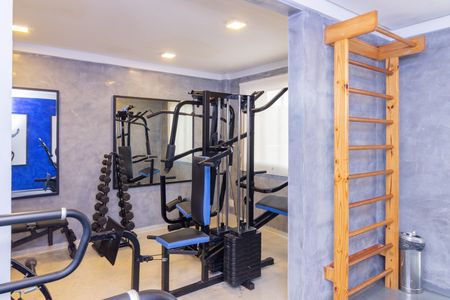 Área comum - Academia de apartamento para alugar com 2 quartos, 33m² em Pirituba, São Paulo