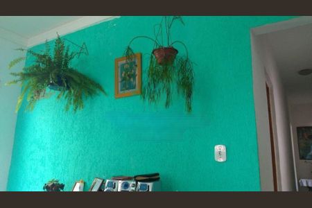 Casa à venda com 3 quartos, 250m² em Jardim Nova Terra (Nova Veneza), Sumaré