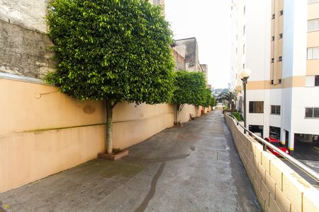 Apartamento para alugar com 55m², 2 quartos e 1 vagaÁrea comum