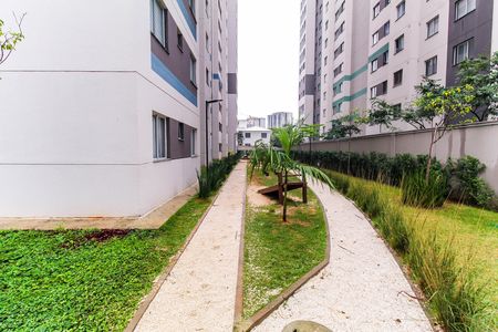Apartamento para alugar com 36m², 2 quartos e sem vaga Apartamento para alugar com 36m², 2 quartos e sem vagaEspaço Pet