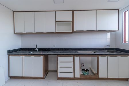 Cozinha de apartamento para alugar com 2 quartos, 44m² em Rio Branco, Belo Horizonte