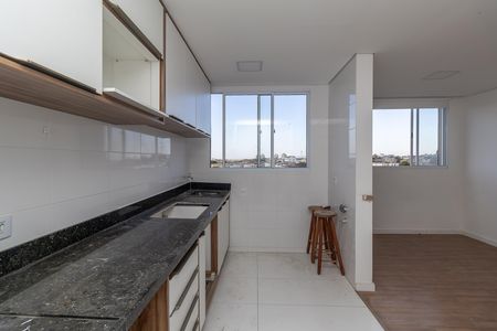 Cozinha de apartamento para alugar com 2 quartos, 44m² em Rio Branco, Belo Horizonte