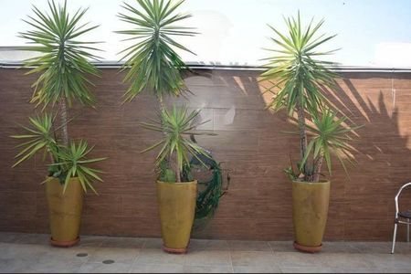 Casa de Condomínio à venda com 4 quartos, 430m² em Swiss Park, Campinas