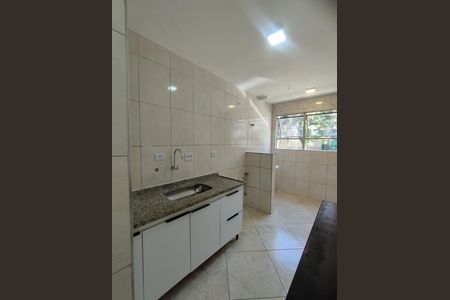 Cozinha - Torneira de apartamento para alugar com 2 quartos, 65m² em Parque Bristol, São Paulo
