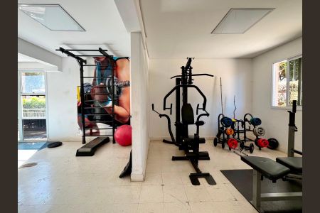 Área comum - Academia de apartamento para alugar com 2 quartos, 55m² em Jardim Chapadão, Campinas