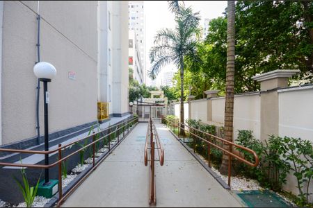Área comum de apartamento para alugar com 2 quartos, 44m² em Jardim Iris, São Paulo