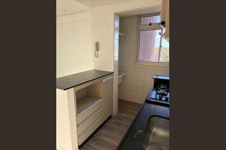 Cozinha de apartamento para alugar com 2 quartos, 55m² em Santa Branca, Belo Horizonte