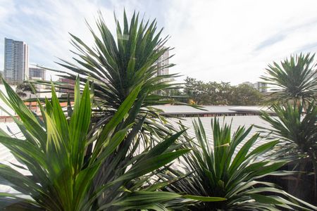 VISTA DO QUARTO 1 de apartamento para alugar com 2 quartos, 70m² em Cambuí, Campinas