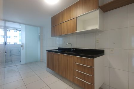 Apartamento para alugar com 115m², 3 quartos e 2 vagas Apartamento para alugar com 115m², 3 quartos e 2 vagasCozinha - Armários