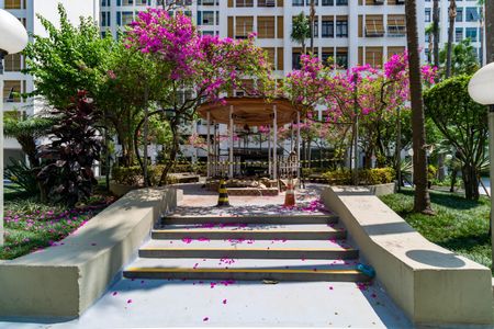 Apartamento à venda com 2 quartos, 75m² em Vila Progredior, São Paulo
