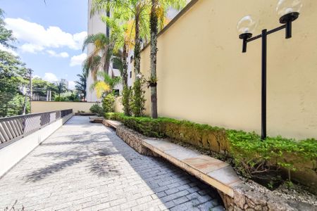 Área Comum de apartamento à venda com 4 quartos, 160m² em Vila Monte Alegre, São Paulo