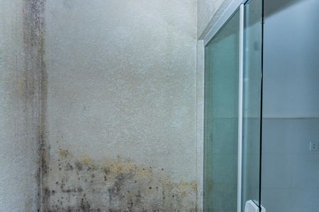 Vista Quarto 1 de apartamento para alugar com 2 quartos, 50m² em São Domingos, São Paulo