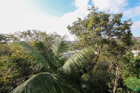 Vista Varanda Sala de apartamento para alugar com 2 quartos, 47m² em Vila Monte Serrat, Cotia