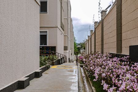 Apartamento para alugar com 44m², 2 quartos e 1 vaga Apartamento para alugar com 44m², 2 quartos e 1 vagaÁrea Comum