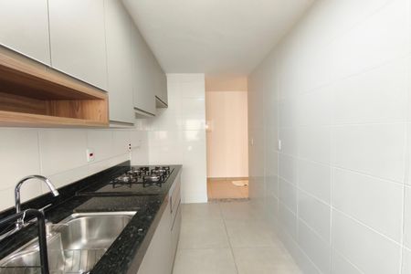 Cozinha de apartamento para alugar com 2 quartos, 60m² em Jardim Nova Europa, Campinas