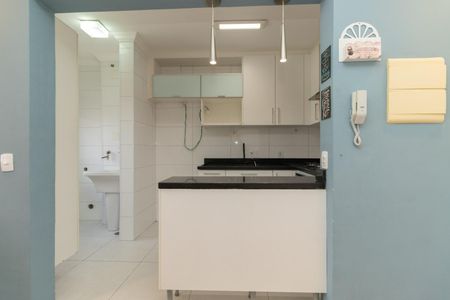 Cozinha de apartamento para alugar com 2 quartos, 54m² em Vila Santa Clara, São Paulo