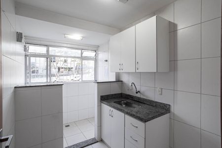 Cozinha e Área de Serviço de apartamento para alugar com 2 quartos, 53m² em Manacás, Belo Horizonte