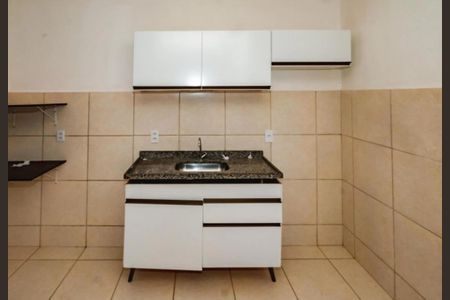 Cozinha de apartamento para alugar com 2 quartos, 52m² em Alphaville Vespasiano, Vespasiano